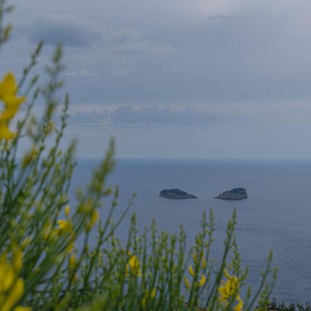 Villa La Pace Sant'Agnello Εξωτερικό φωτογραφία