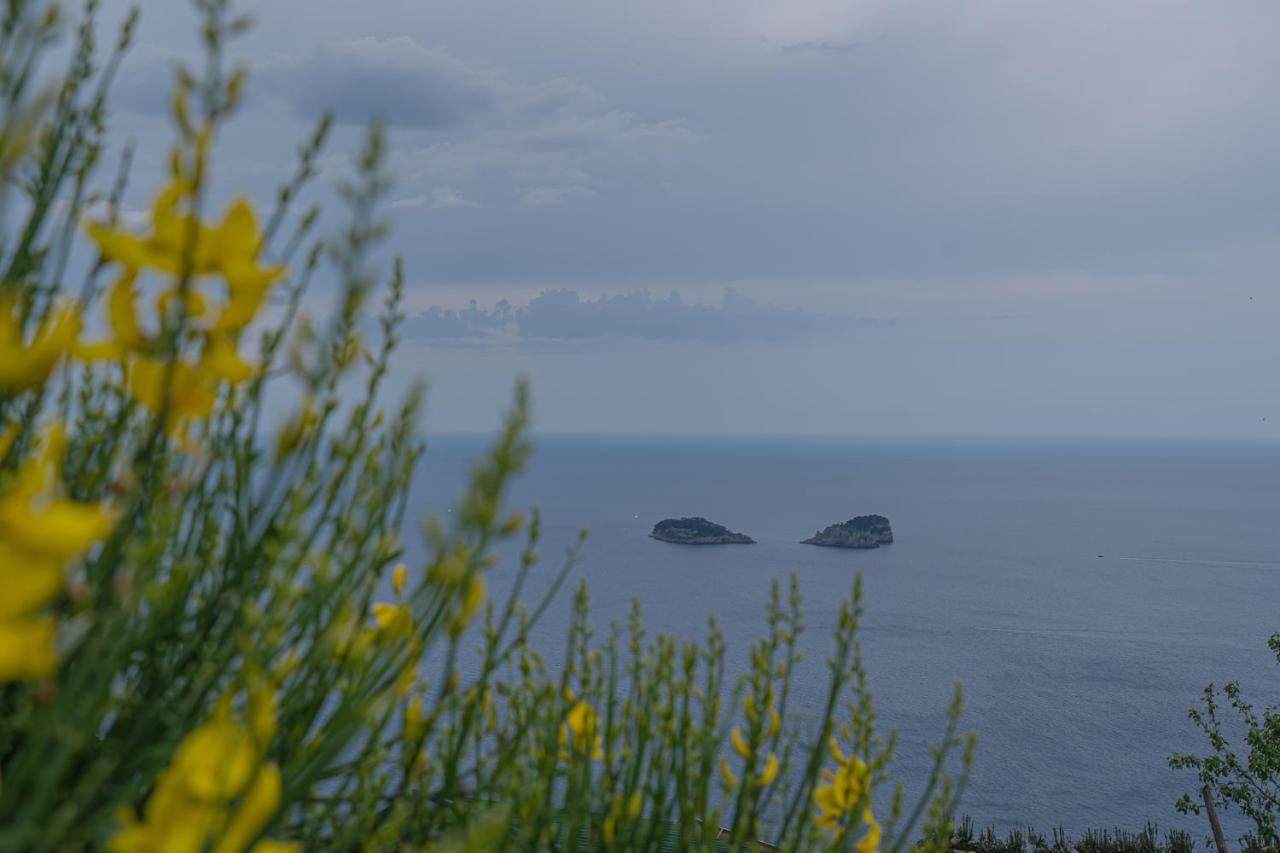 Villa La Pace Sant'Agnello Εξωτερικό φωτογραφία