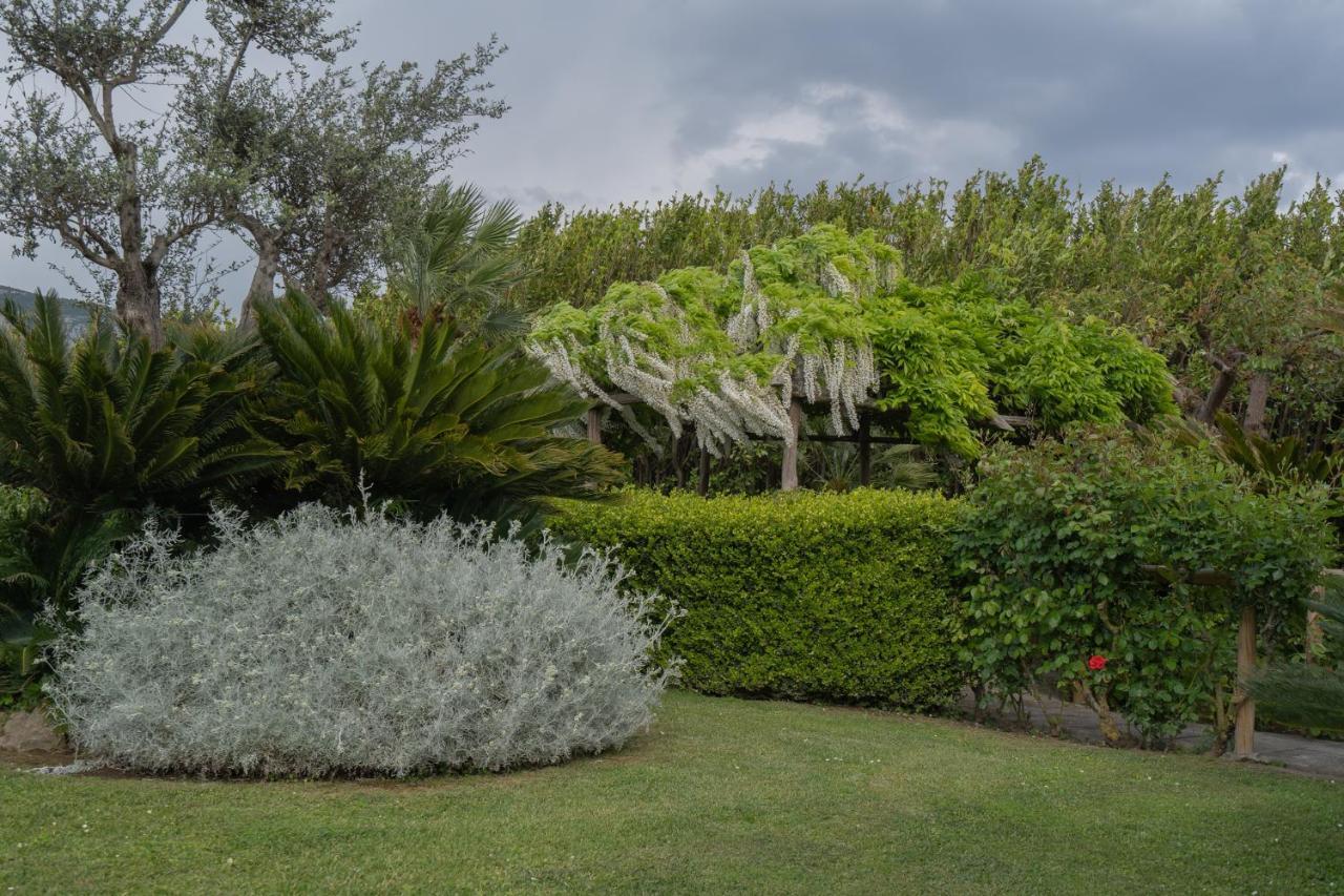 Villa La Pace Sant'Agnello Εξωτερικό φωτογραφία