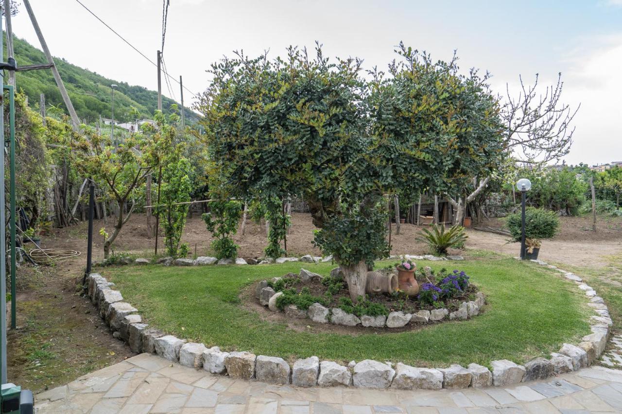 Villa La Pace Sant'Agnello Εξωτερικό φωτογραφία