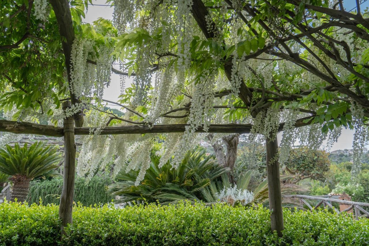 Villa La Pace Sant'Agnello Εξωτερικό φωτογραφία