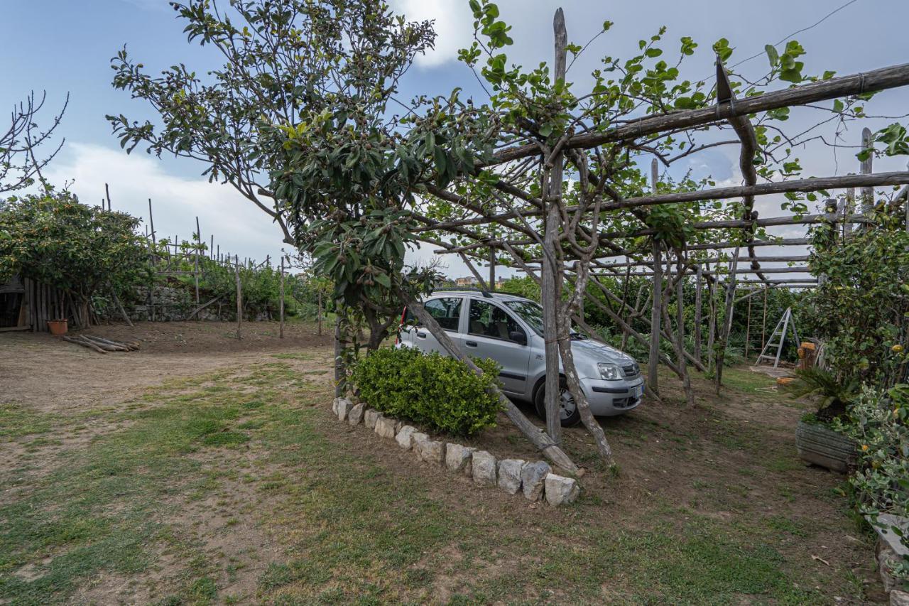 Villa La Pace Sant'Agnello Εξωτερικό φωτογραφία