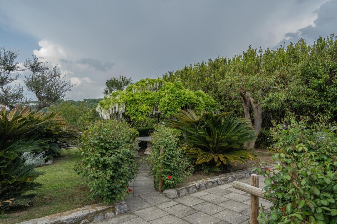Villa La Pace Sant'Agnello Εξωτερικό φωτογραφία
